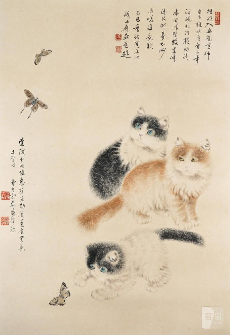   曹克家 貓